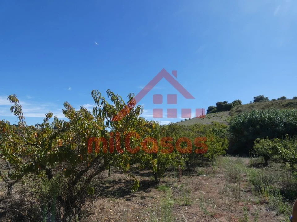 Terreno Agricola ou Rústico para Venda em Azueira e Sobral da Abelheira Foto 20