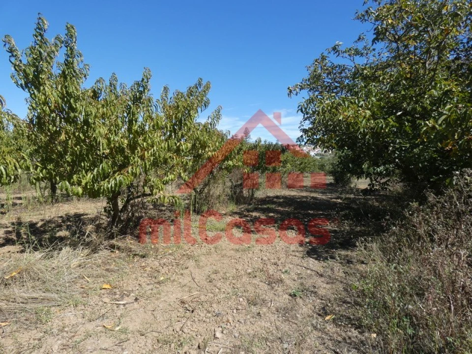 Terreno Agricola ou Rústico para Venda em Azueira e Sobral da Abelheira Foto 23