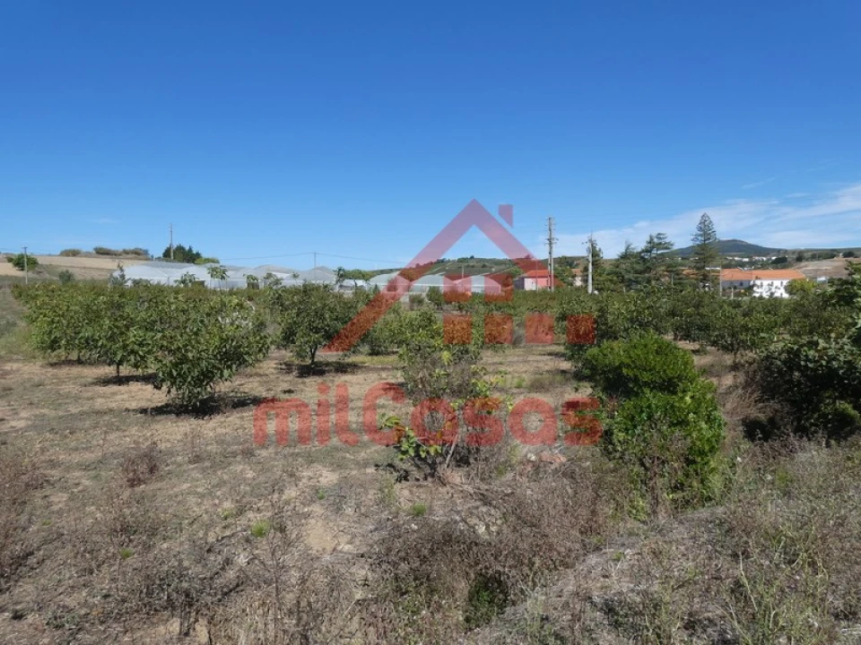 Terreno Agricola ou Rústico para Venda em Azueira e Sobral da Abelheira Foto 24