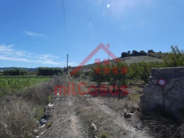 Terreno Agricola ou Rústico para Venda em Azueira e Sobral da Abelheira