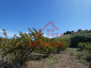 Terreno Agricola ou Rústico para Venda em Azueira e Sobral da Abelheira