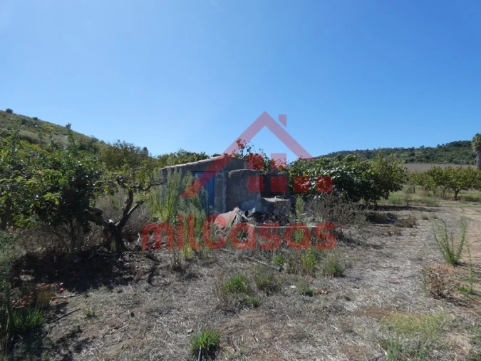 Terreno Agricola ou Rústico para Venda em Azueira e Sobral da Abelheira Foto 17