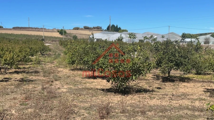 Terreno Agricola ou Rústico para Venda em Azueira e Sobral da Abelheira
