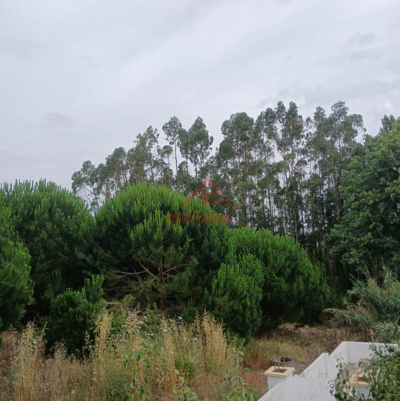 Terreno para Venda em Miragaia e Marteleira Foto 14