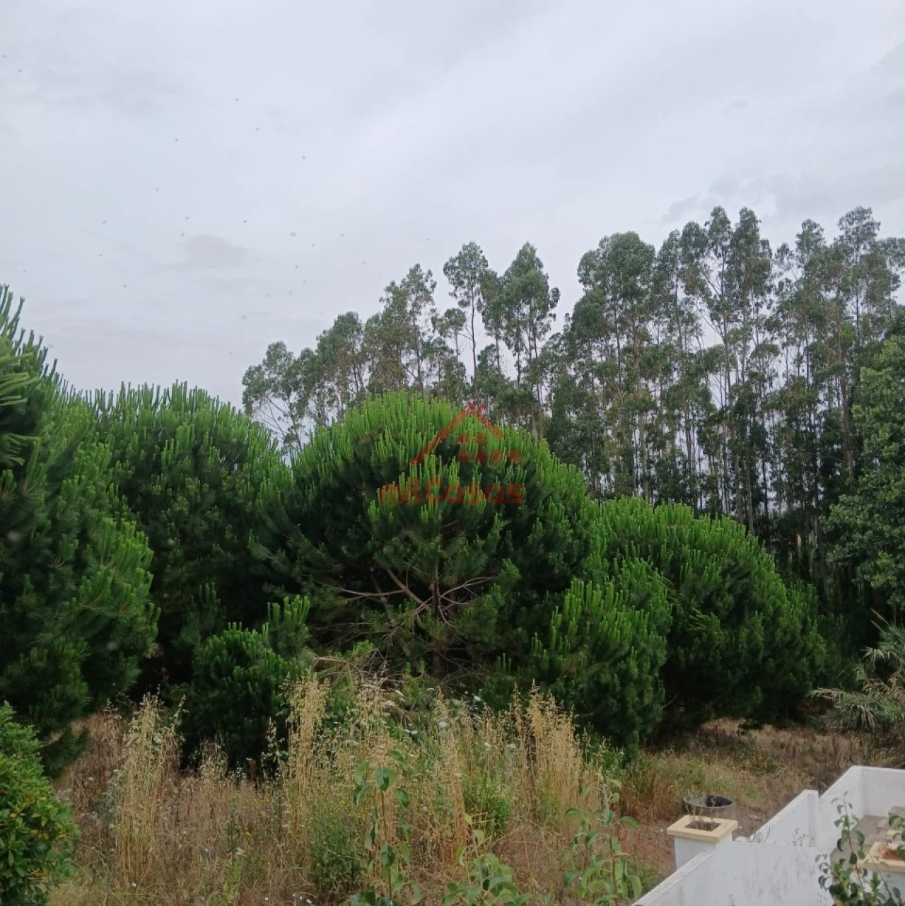 Terreno para Venda em Miragaia e Marteleira Foto 15