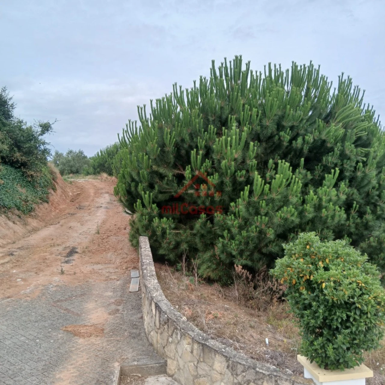 Terreno para Venda em Miragaia e Marteleira Foto 19