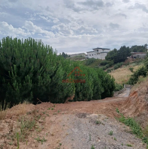 Terreno para Venda em Miragaia e Marteleira