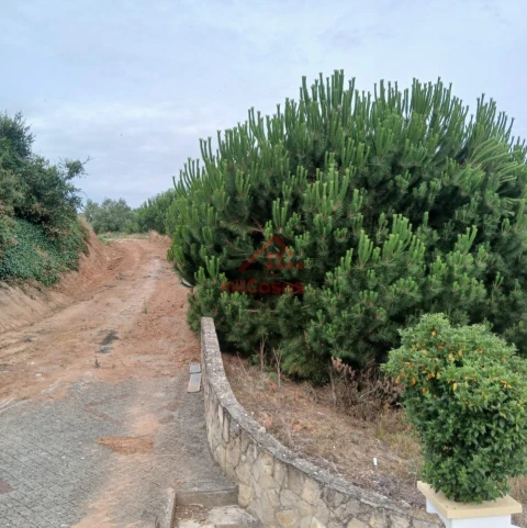Terreno para Venda em Miragaia e Marteleira