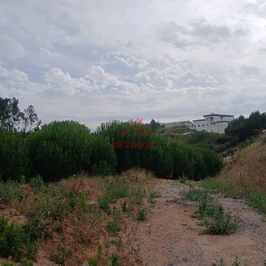 Terreno para Venda em Miragaia e Marteleira Foto 17