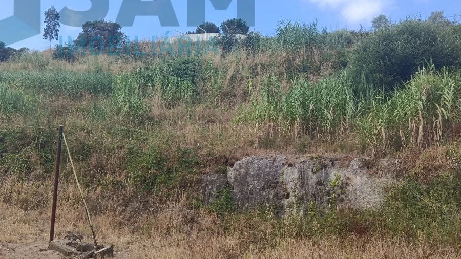 Terreno para Venda em Santa Maria, São Pedro e Matacães