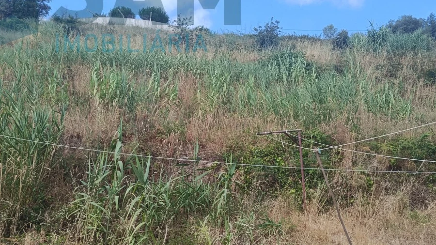 Terreno para Venda em Santa Maria, São Pedro e Matacães