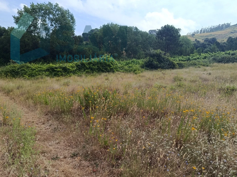 Terreno para Venda em Maxial e Monte Redondo Foto 3