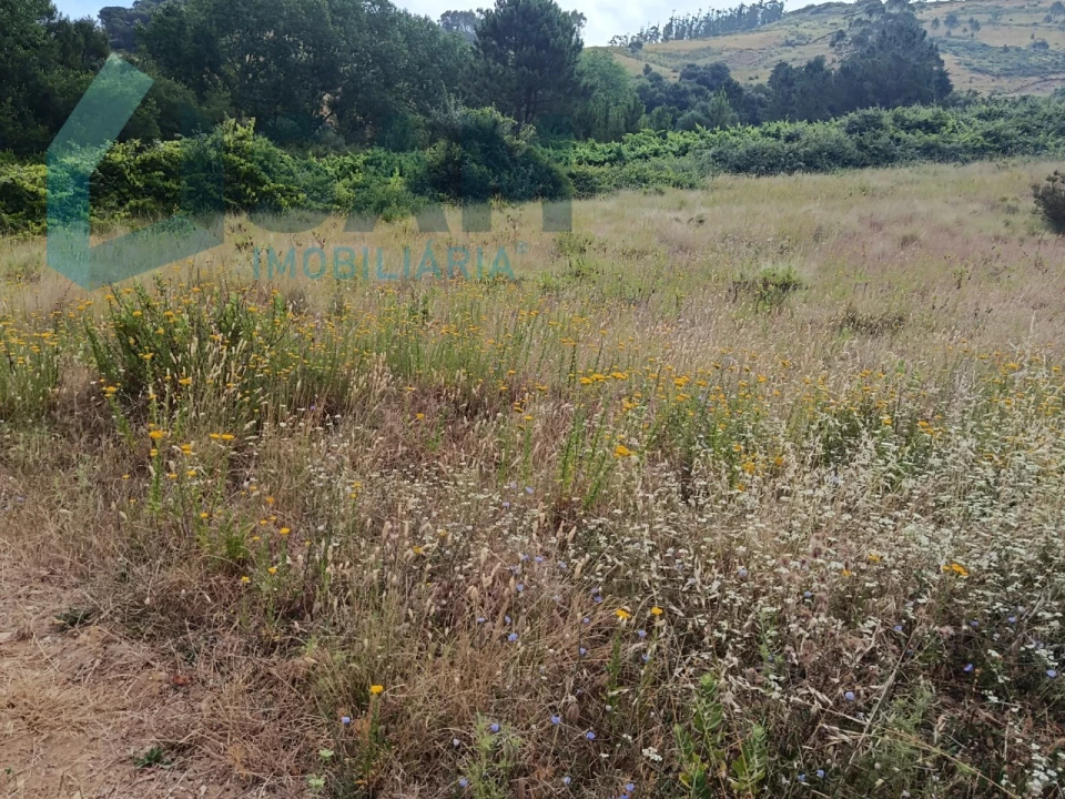 Terreno para Venda em Maxial e Monte Redondo Foto 4
