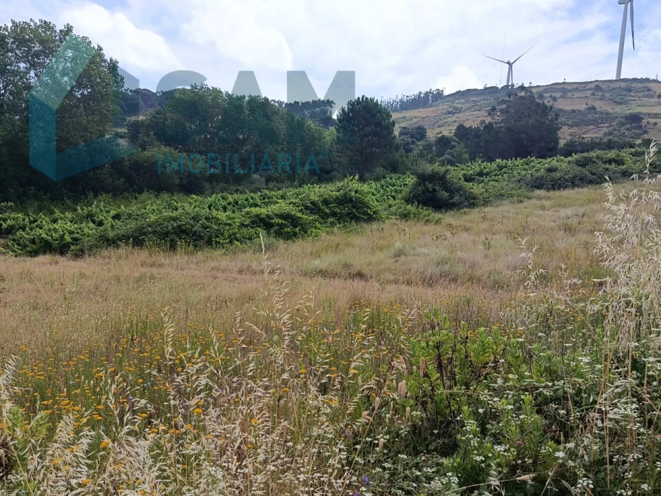Terreno para Venda em Maxial e Monte Redondo Foto 5