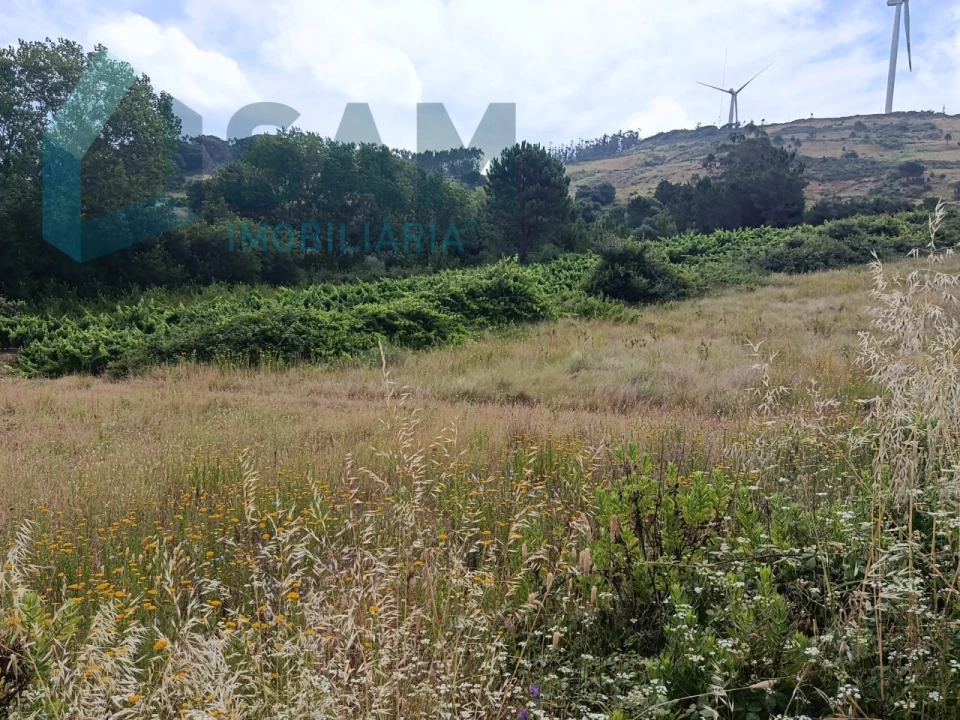 Terreno para Venda em Maxial e Monte Redondo Foto 6