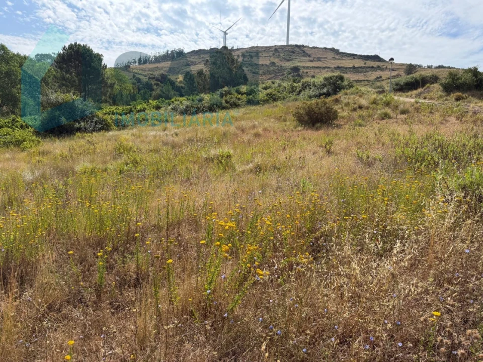 Terreno para Venda em Maxial e Monte Redondo Foto 15