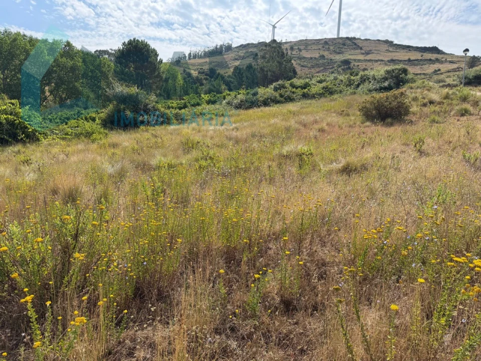 Terreno para Venda em Maxial e Monte Redondo Foto 17