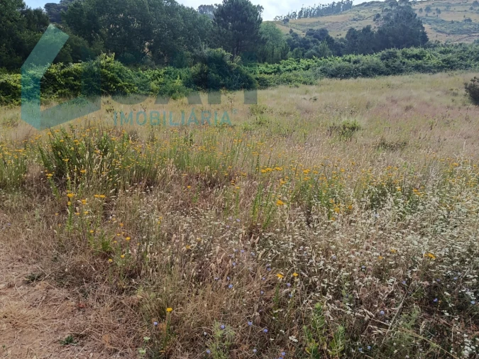 Terreno para Venda em Maxial e Monte Redondo Foto 4