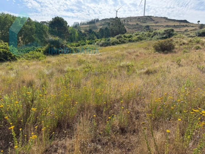 Terreno para Venda em Maxial e Monte Redondo Foto 17