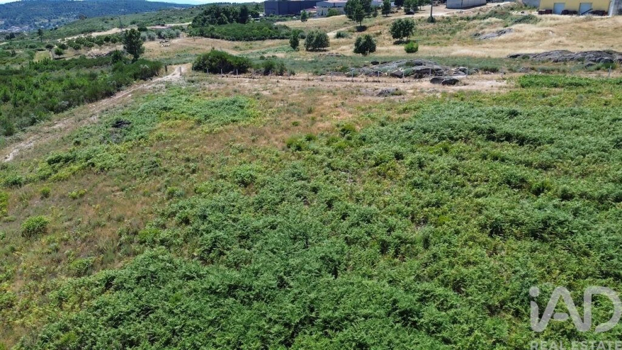 Terreno para Venda em Vila Chã Foto 13