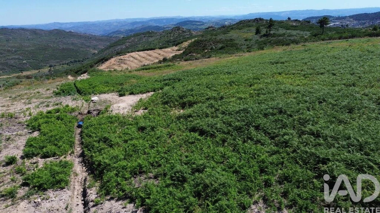 Terreno para Venda em Vila Chã Foto 14