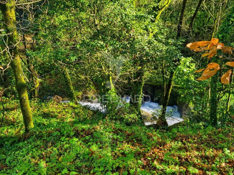 Moradia para Venda em Valdreu Foto 17