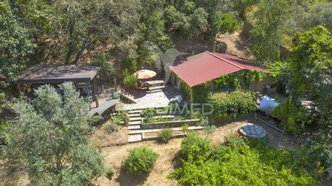 Quinta para Venda em São Martinho das Amoreiras