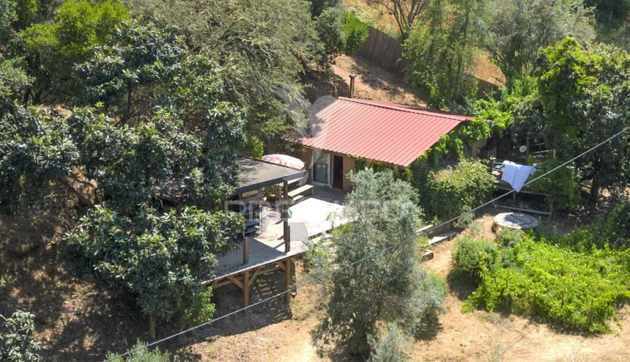 Quinta para Venda em São Martinho das Amoreiras Foto 2