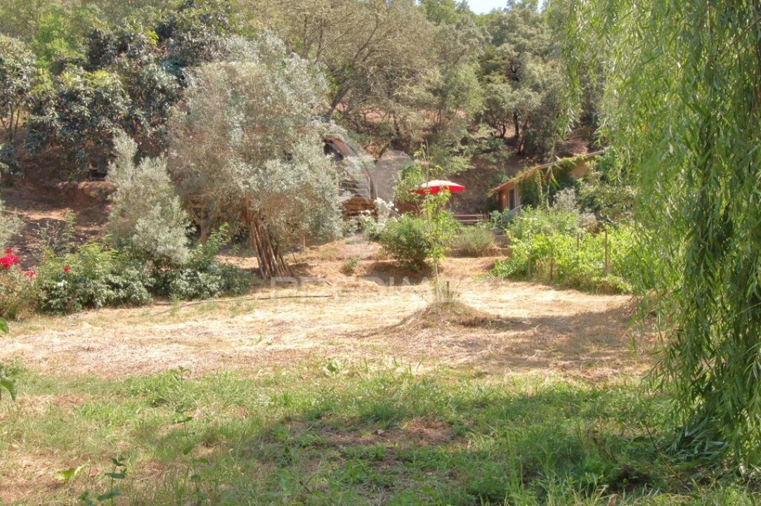 Quinta para Venda em São Martinho das Amoreiras Foto 10