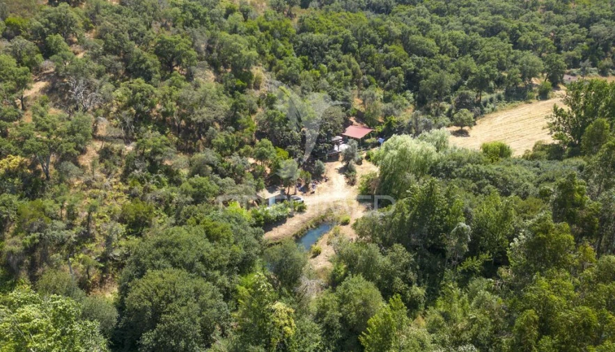 Quinta para Venda em São Martinho das Amoreiras Foto 6