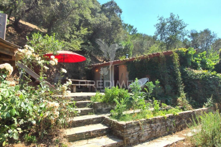 Quinta para Venda em São Martinho das Amoreiras Foto 12