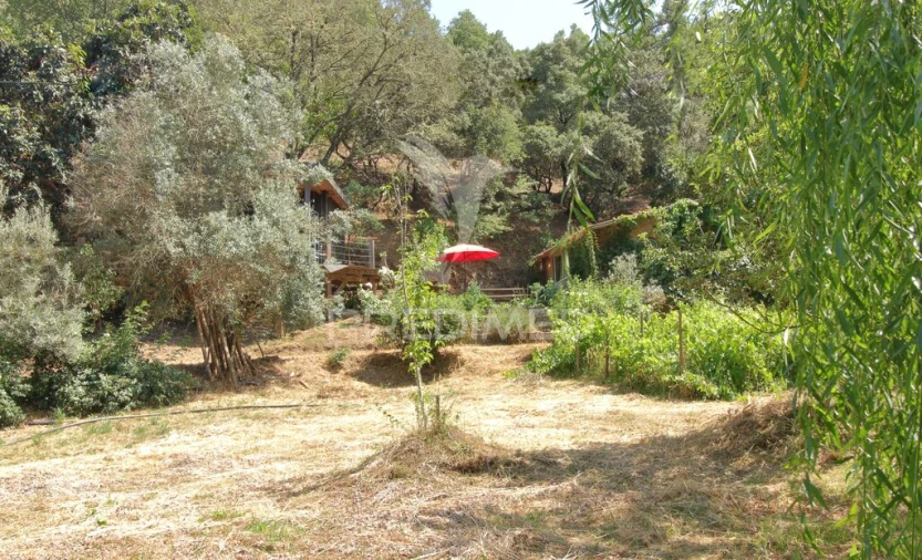 Quinta para Venda em São Martinho das Amoreiras Foto 8