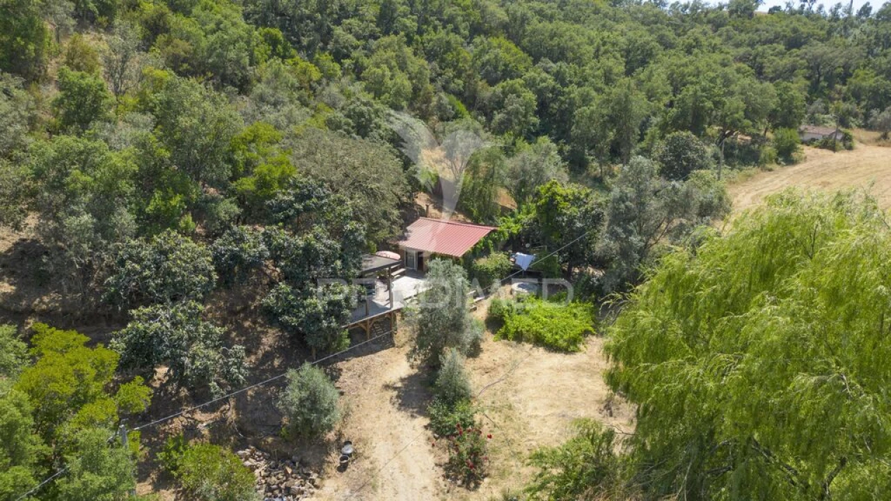 Quinta para Venda em São Martinho das Amoreiras Foto 5