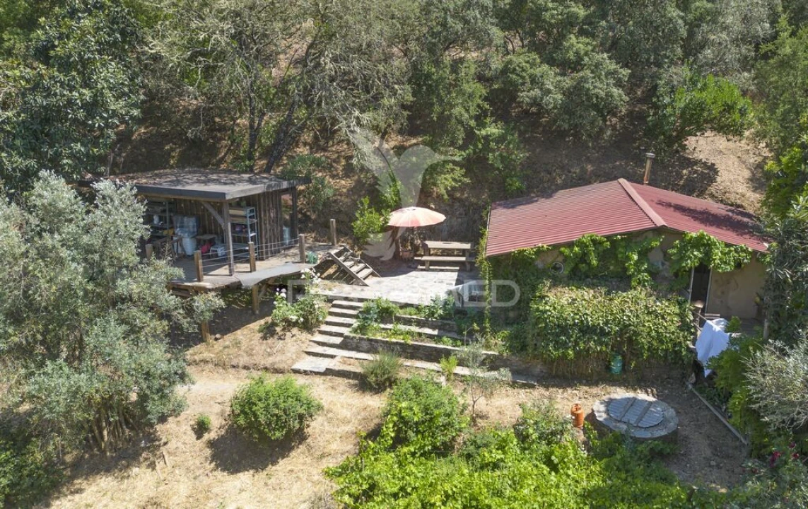 Quinta para Venda em São Martinho das Amoreiras Foto 4