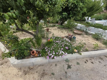 Quinta T2 para Venda em Cortiçadas de Lavre e Lavre