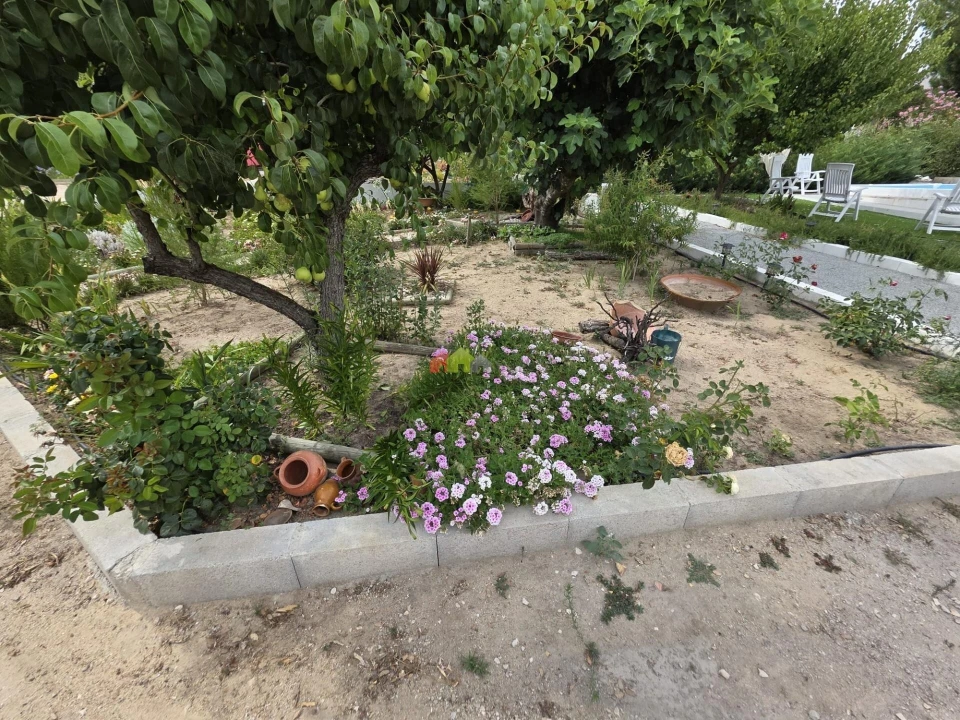 Quinta T2 para Venda em Cortiçadas de Lavre e Lavre Foto 4