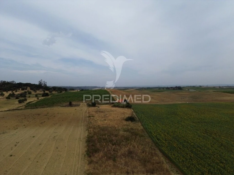 Moradia T2 para Venda em São Vicente do Paul e Vale de Figueira Foto 8