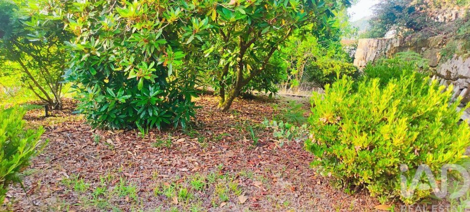 Moradia T4 para Venda em Loivo Foto 34