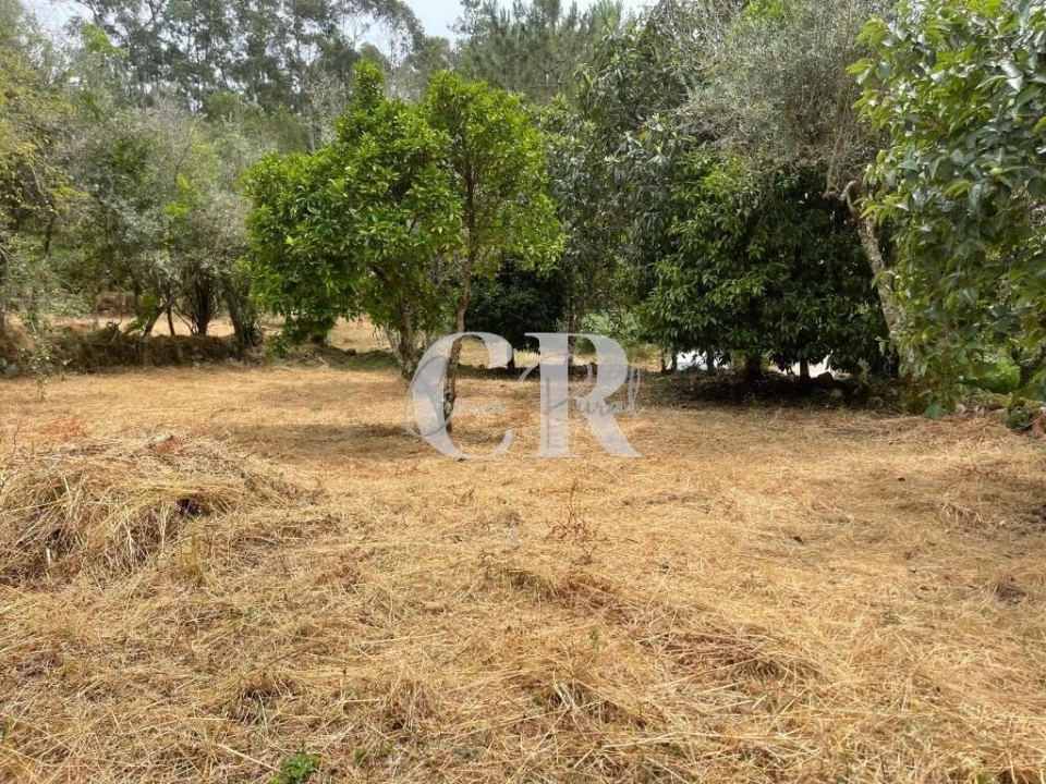 Quinta T3 para Venda em Vila Nova do Ceira Foto 29