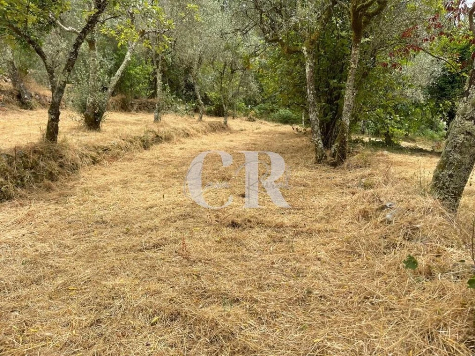 Quinta T3 para Venda em Vila Nova do Ceira Foto 30