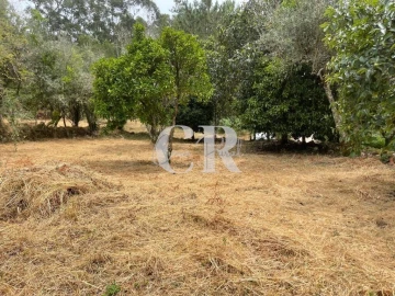 Quinta T3 para Venda em Vila Nova do Ceira