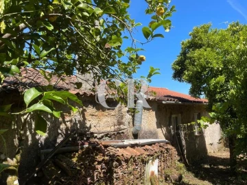 Quinta T3 para Venda em Vila Nova do Ceira