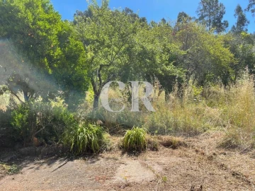 Quinta T3 para Venda em Vila Nova do Ceira