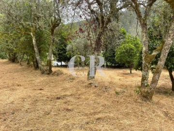Quinta T3 para Venda em Vila Nova do Ceira