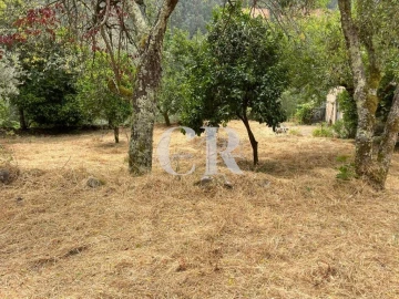 Quinta T3 para Venda em Vila Nova do Ceira
