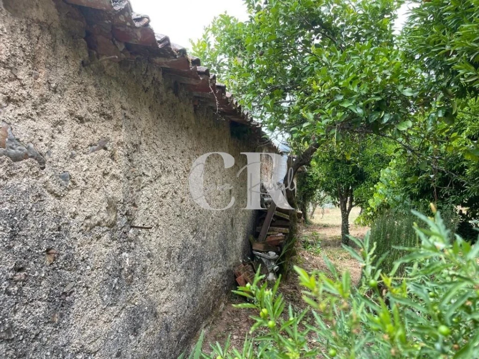 Quinta T3 para Venda em Vila Nova do Ceira Foto 41