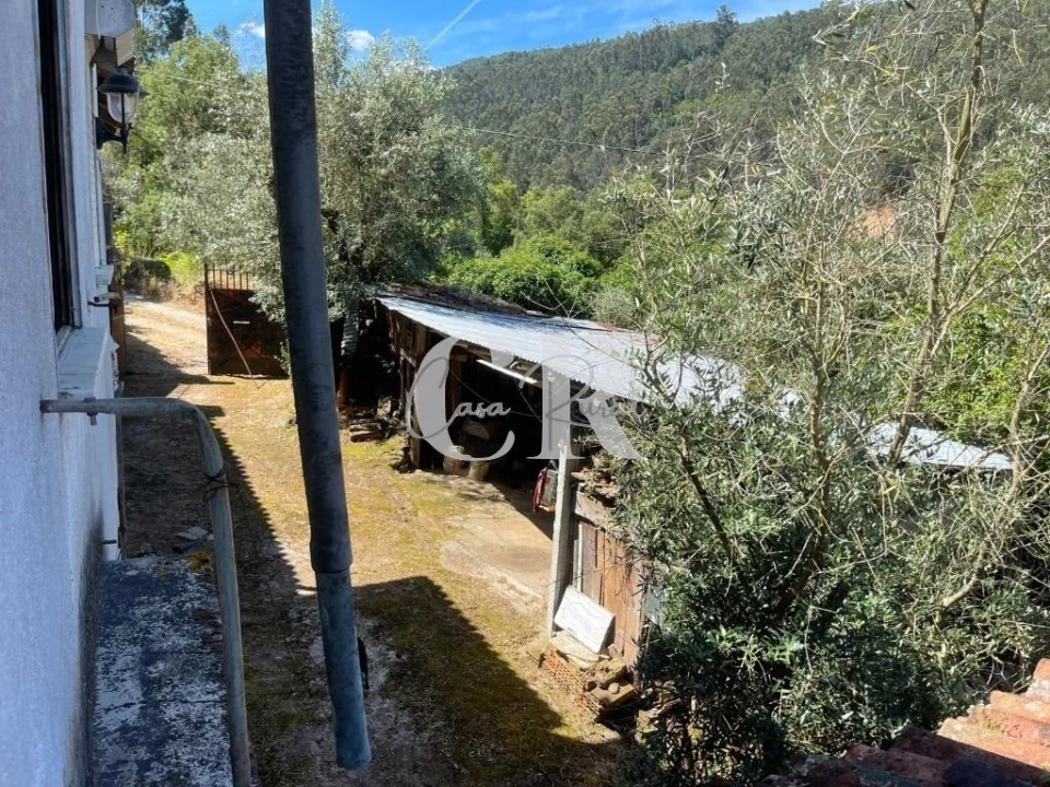 Quinta T3 para Venda em Vila Nova do Ceira Foto 23