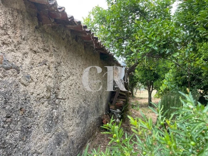 Quinta T3 para Venda em Vila Nova do Ceira Foto 41