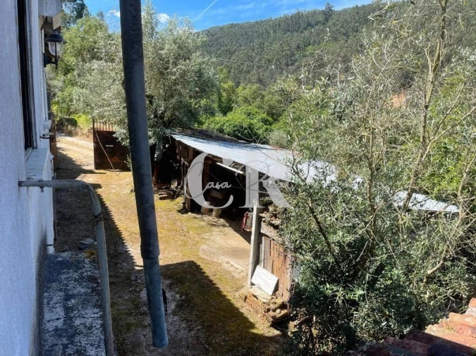 Quinta T3 para Venda em Vila Nova do Ceira Foto 23