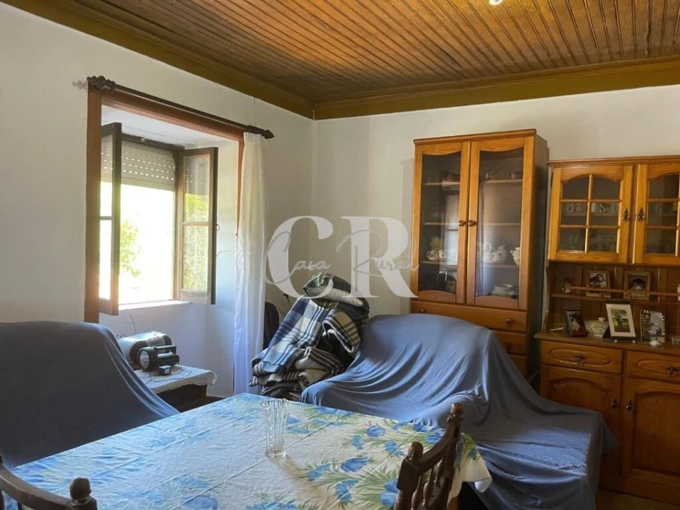 Quinta T3 para Venda em Vila Nova do Ceira Foto 18